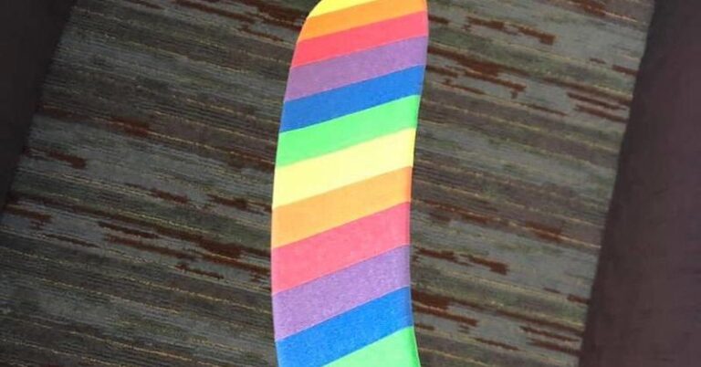 Un adolescent du Michigan est un allié direct qui soutient les LGBT avec son bâton de hockey