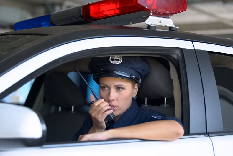 police bisexuelle, département, kritsin stein