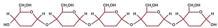 diagramme moléculaire de la chaîne des glucoses ensemble
