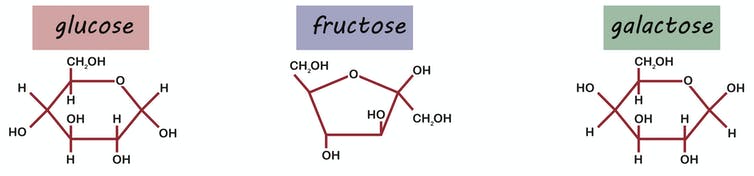 diagrammes moléculaires pour le glucose, le fructose et le galactose