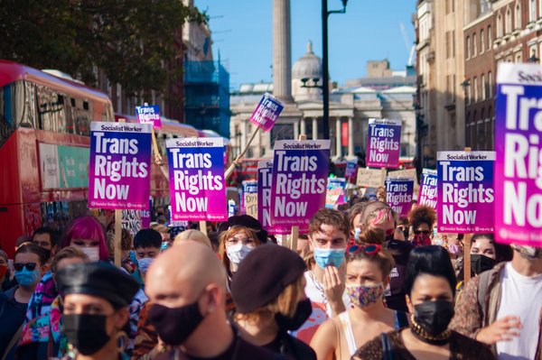 amy schneider inspiration pour le mouvement trans