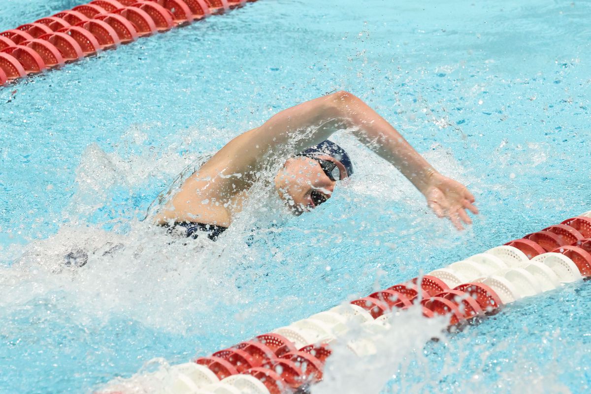 Natation NCAA : finales du championnat de natation de l'Ivy League