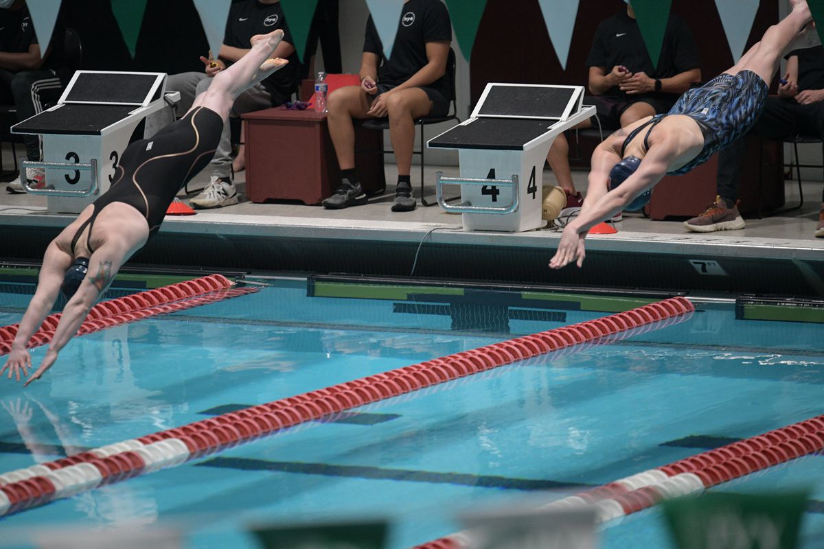 NATATION : 19 FÉVRIER Ivy League Womens Swimming &  Championnats de plongeon