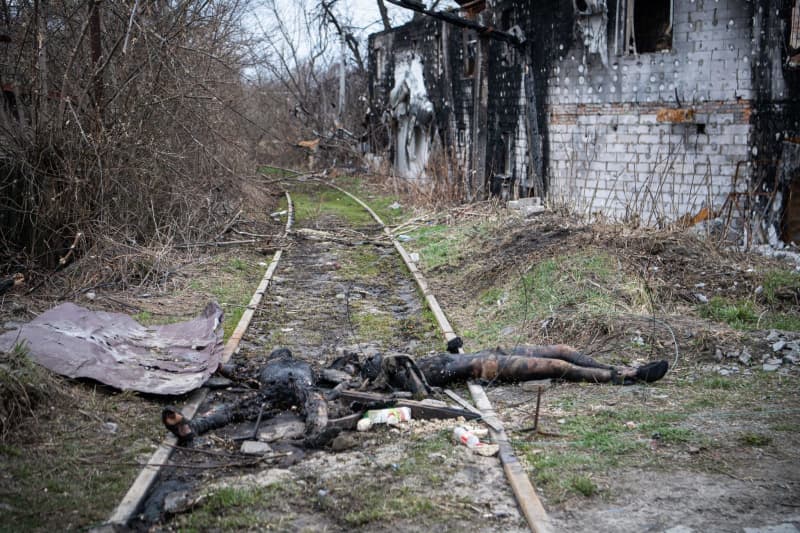 506793 506793 origine 1 7