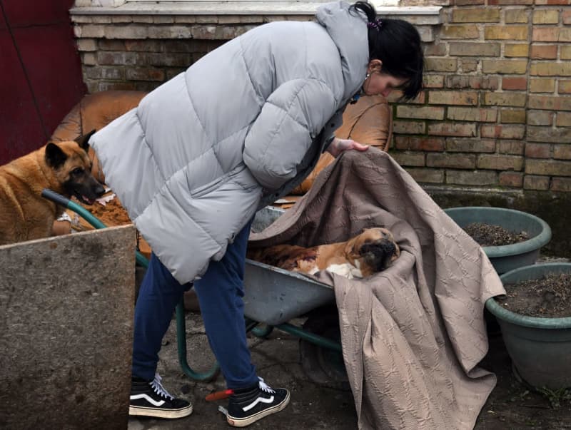 506793 506793 origine 1 6