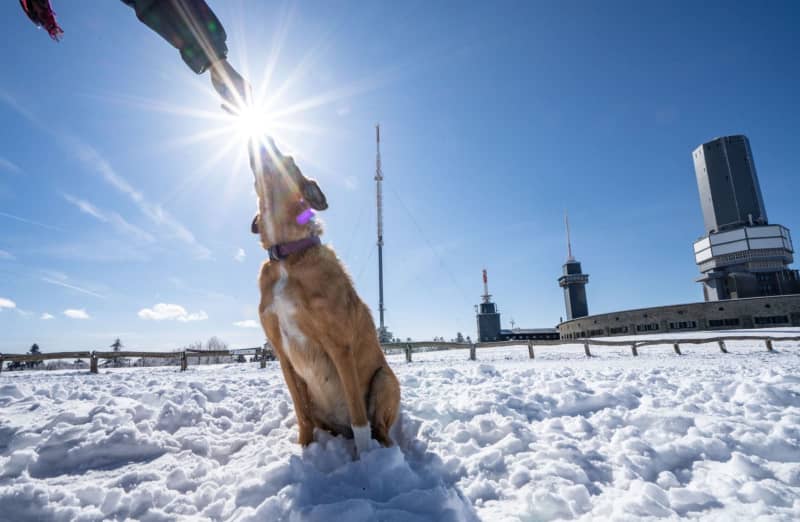 506793 506793 origine 1 29