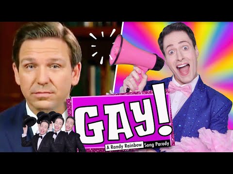 GAY !  - Une parodie de chanson Randy Rainbow