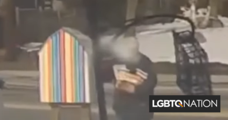 Une vidéo capture un vandale retirant 1 000 $ de livres LGBTQ de la bibliothèque en bordure de route