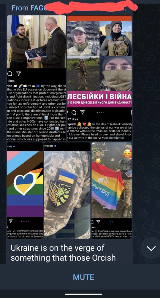 Ce compte, comme le montre son nom partiellement révélé, est dédié à signaler et à se moquer de tout ce qui est LGBTQ en Ukraine.