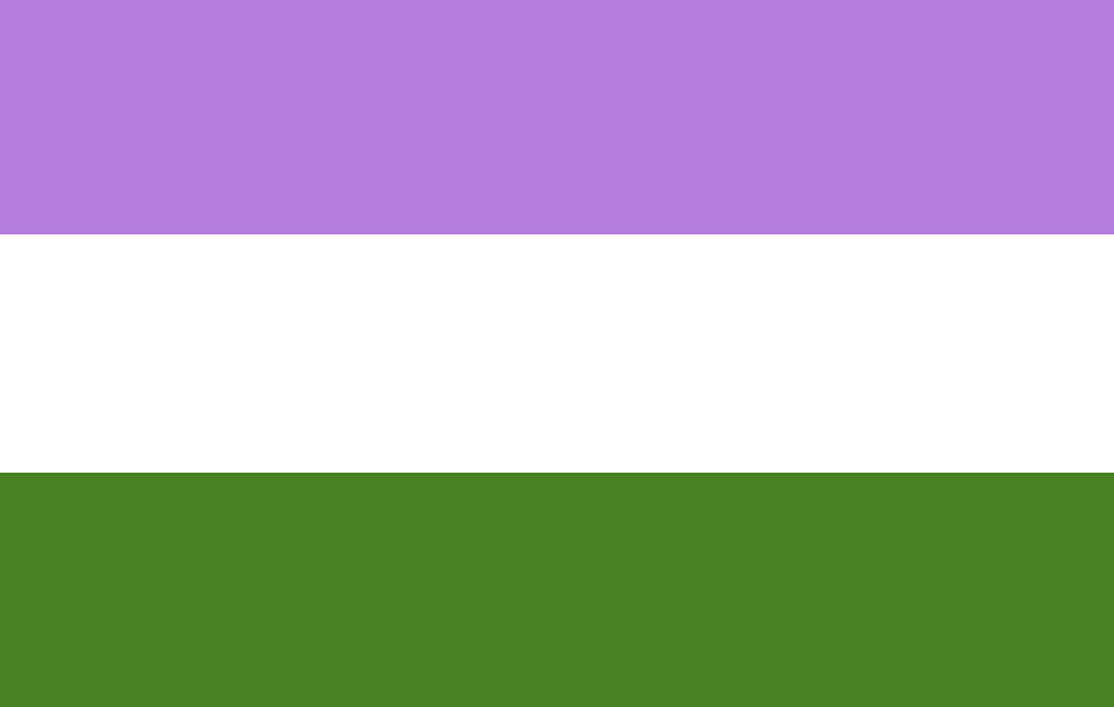Le drapeau genderqueer