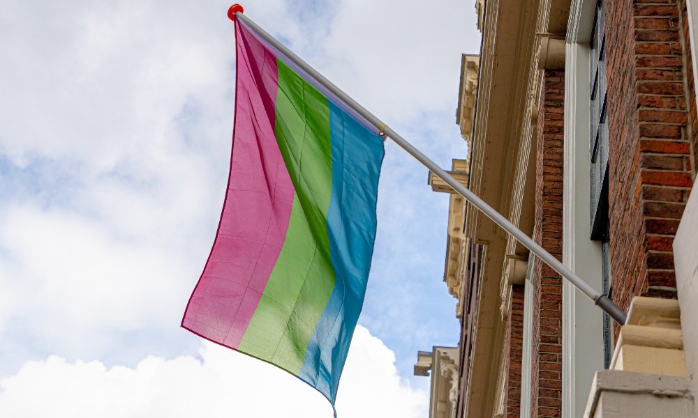 Qu’est-ce que le drapeau polysexuel ? Tout ce que vous devez savoir sur le drapeau de la fierté polysexuelle. What Is the Polysexual Flag?