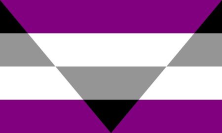 What Does Aegosexual Mean?