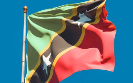 Un tribunal des Caraïbes annule l'interdiction des relations sexuelles homosexuelles de l'époque coloniale à Saint-Kitts-et-Nevis