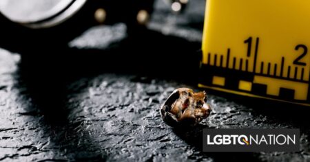 Deux morts et un blessé dans une fusillade dans un bar gay par un extrémiste