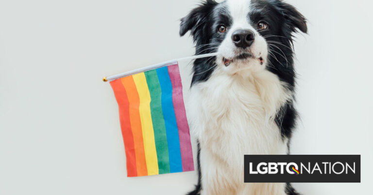 Un sauvetage d'animaux reçoit des menaces de mort après que la drag queen ait fait la lecture aux chiens
