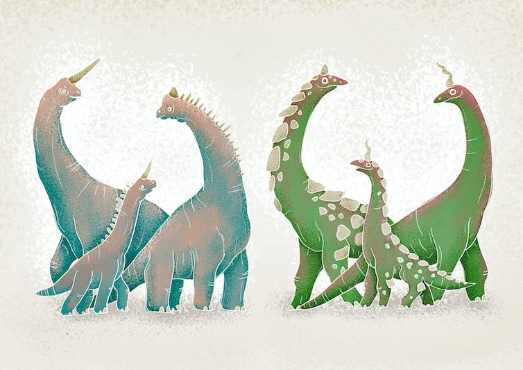 Illustration de dinosaures avec et sans longues cornes ou dos à pointes.