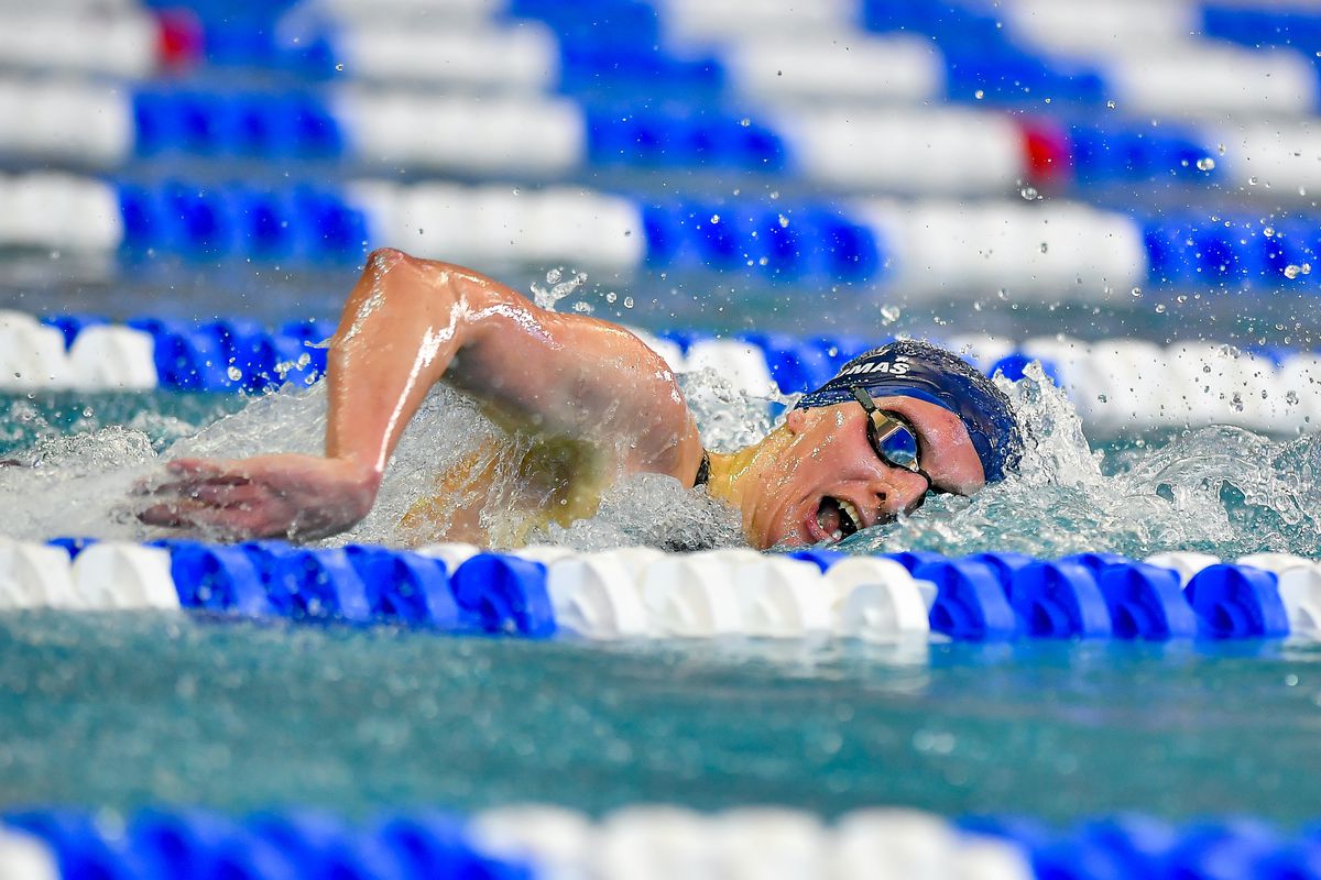 NATATION NCAA : 17 MARS Natation féminine &  Championnats de plongeon