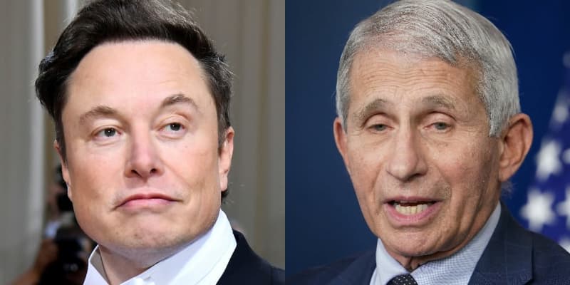 Les attaques de Musk contre Fauci « incroyablement dangereuses »: W.House 659603 origin 1