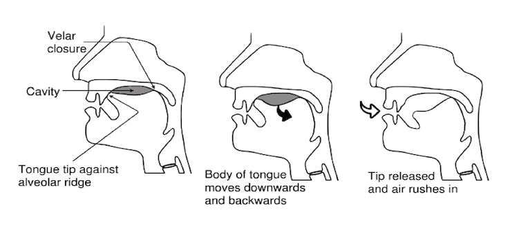 Un diagramme de la tête humaine montrant la bouche et trois étapes du son produit.