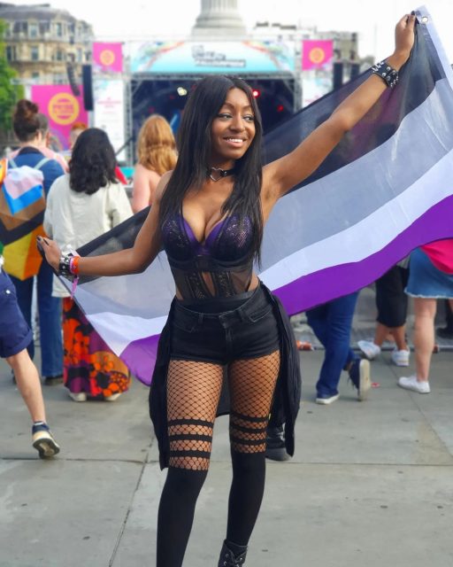 Drapeau Yasmin Benoit Ace Pride