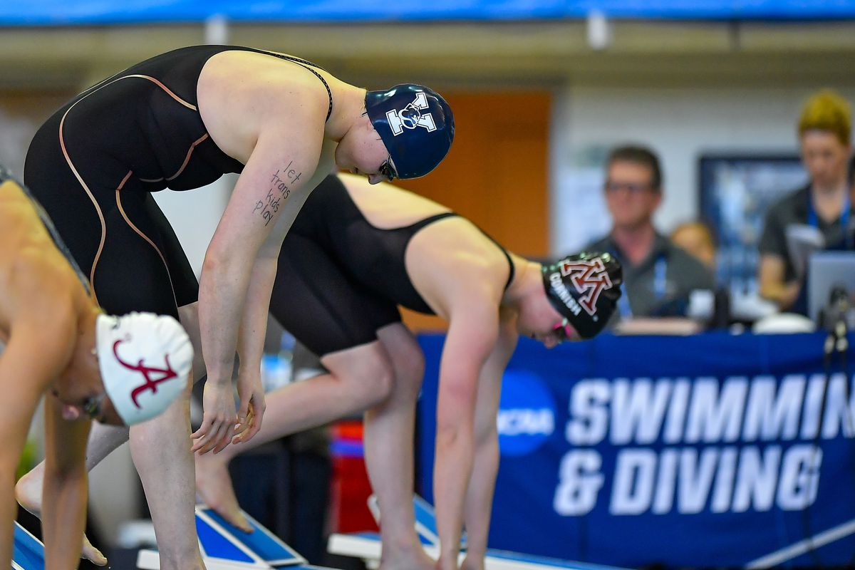 NATATION NCAA : 19 MARS Natation féminine &  Championnats de plongeon