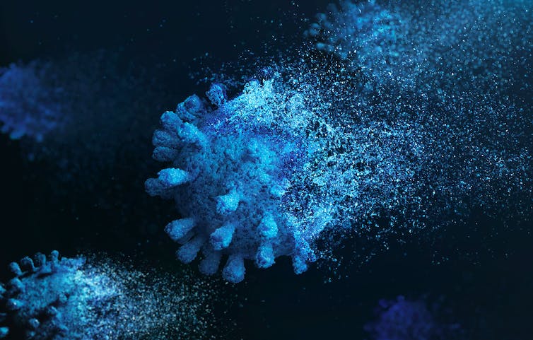 Apprendre de Covid : la détection précoce, l'isolement et l'élimination battent des réponses plus défensives en tant que stratégie mondiale pour les futures pandémies 2 fichier 20230117 25 pmbqda.jpg?ixlib=rb 1.1