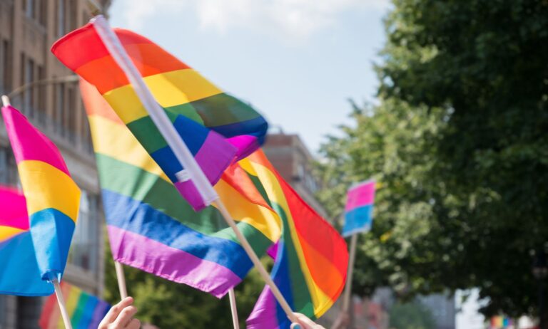 Protestors hold up LGBTQ+ flags during a protest.