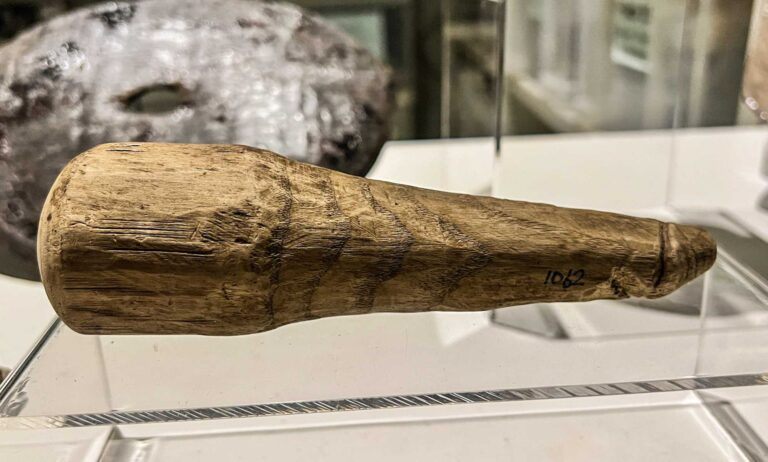 Un ancien pénis en bois pourrait être un gode romain, disent les scientifiques : « C’est assez étonnant » Wooden penis