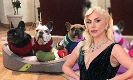 An image composite featuring Lady Gaga in the foreground in a black dress and silver necklace, and her French bulldogs in the background.