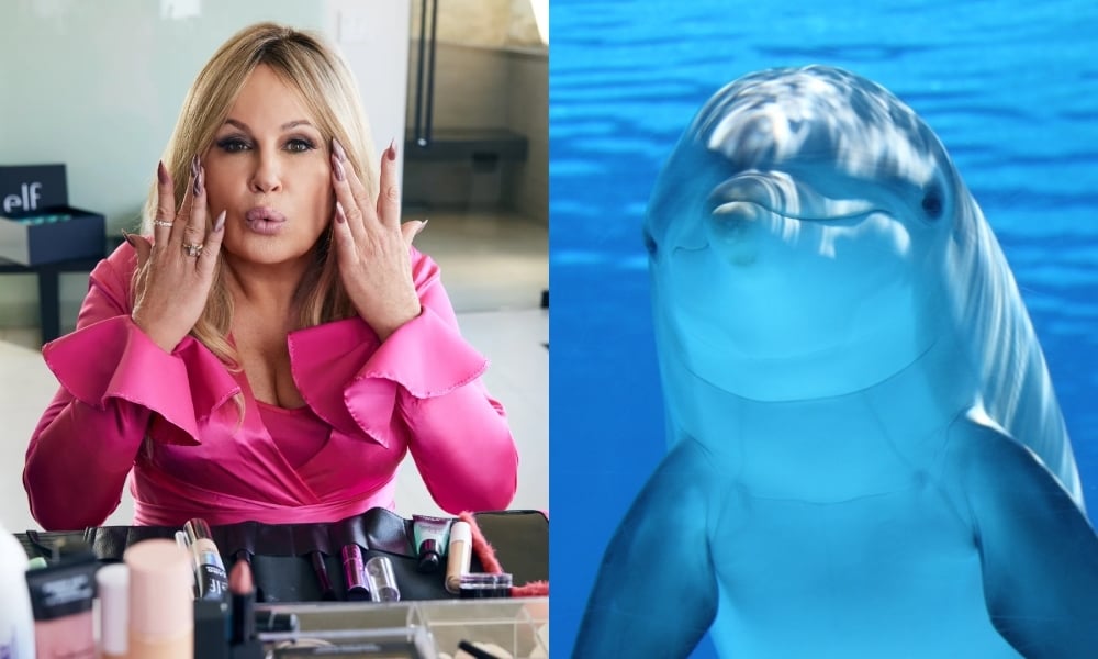 Jennifer Coolidge vit ses rêves de dauphin dans la publicité du Super Bowl Jennifer Coolidge vit ses rêves de dauphin dans la publicité du Super Bowl