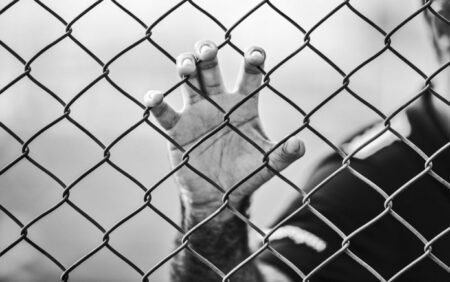 Selon une étude, les personnes LGBTQ + risquent de « graves » en détention pour migrants