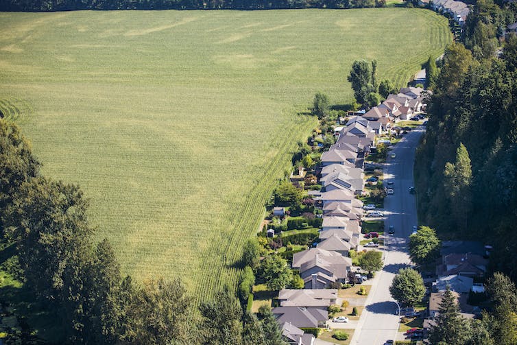 Maisons et une ferme à côté de bois.