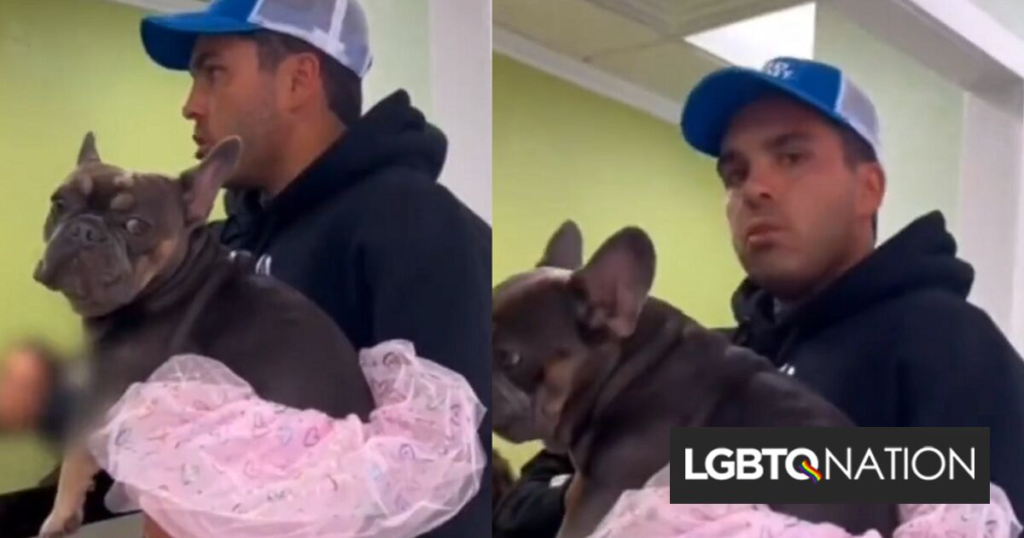 Des influenceurs anti-trans demandent une chirurgie d’affirmation de genre pour un chien et se font virer du cabinet du vétérinaire Des influenceurs anti-trans demandent une chirurgie d'affirmation de genre pour un chien et se font virer du cabinet du vétérinaire