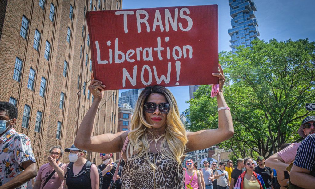 Une personne lors d'un défilé de la fierté LGBTQ+ tient une pancarte de solidarité trans.