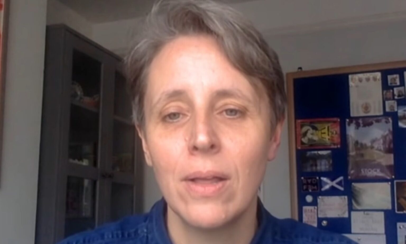 Les participants trans et non binaires du documentaire Gender Wars accusent Channel 4 de les « induire en erreur » Kathleen Stock during a video call.