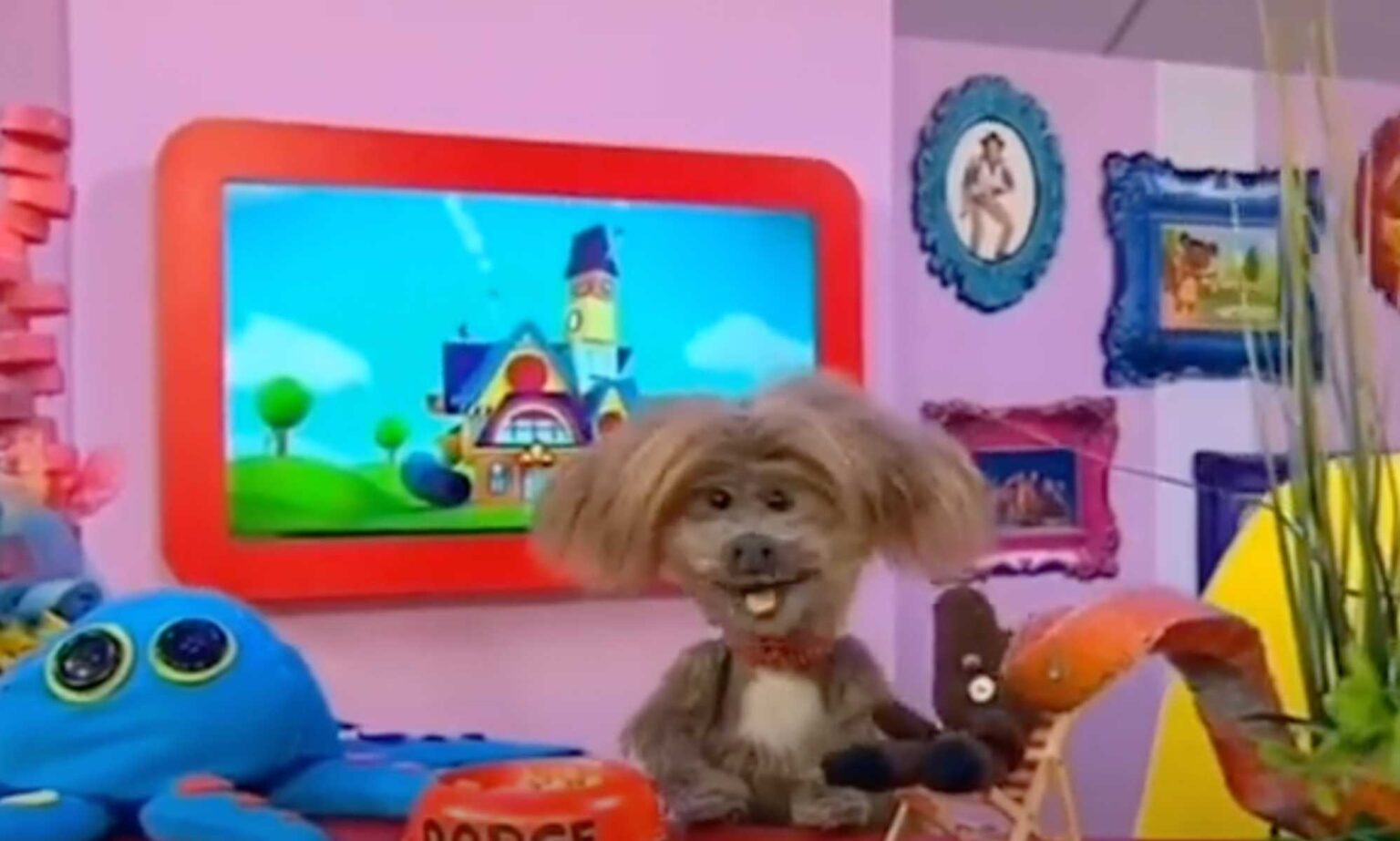 Les fanatiques font rage sur les CBeebies partageant des faits biologiques sur le changement de sexe des poissons CBeebies' Dodge T Dog explained how some fish can go from being a boy fish to a girl fish in a segment that has triggered transphobia fury.