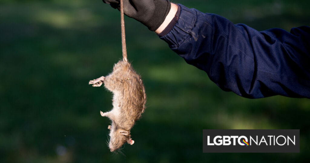 Un couple MAGA surpris en train de jeter un rat dans la propriété d’un restaurant gay dans le cadre d’une longue guerre Un couple MAGA surpris en train de jeter un rat dans la propriété d'un restaurant gay dans le cadre d'une longue guerre