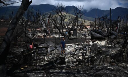 A ground view of the devastation left behind in Maui, Hawaii after wildfires burned down Lahaina. In the picture, there are two people shifting through the rubble, blackened trees and the remains of buildings