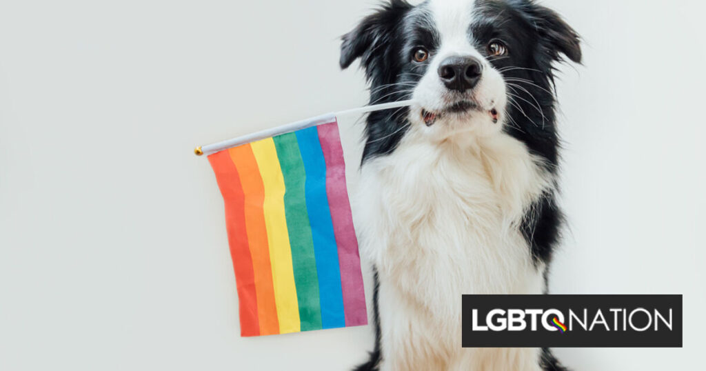Ces papas de chiens homosexuels sont ce dont vous avez besoin pour célébrer le Mois national du bien-être des animaux de compagnie Ces papas de chiens homosexuels sont ce dont vous avez besoin pour célébrer le Mois national du bien-être des animaux de compagnie