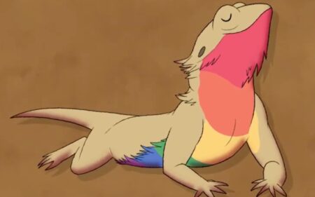 Queer bearded dragon