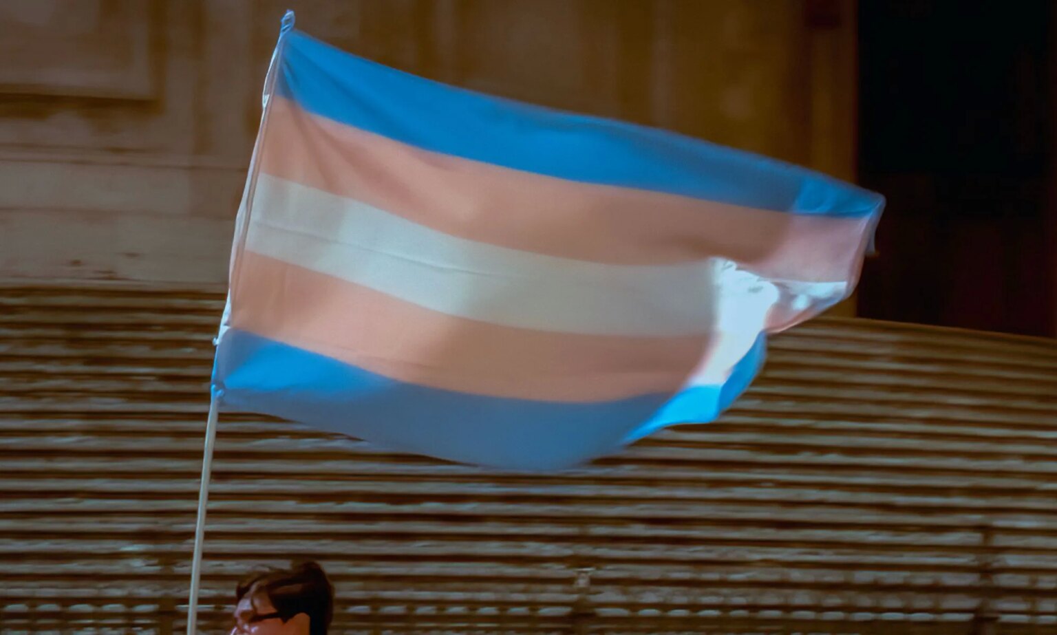 Une femme trans d’Atlanta poursuit son ancien lieu de travail pour 3 millions de dollars pour discrimination présumée A person holds up a trans flag.