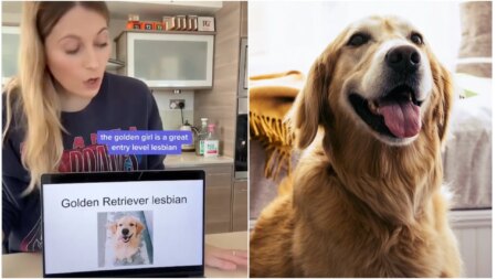 Image shows an Instagram influencer on the left, with long blonde hair, in a kitchen giving a presentation using her laptop, the title of the presentation is 'golden retriever lesbian'. On the right there is a photo of a golden retriever.