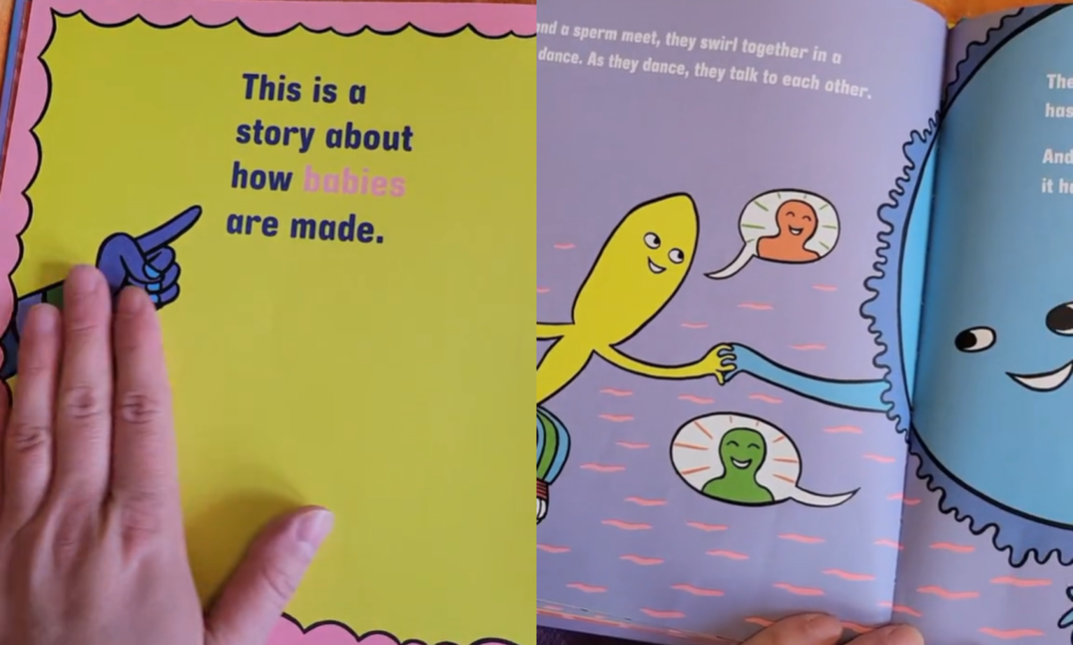 Les parents LGBTQ+ sont ravis du livre pour enfants « accessible » et non sexiste, What Makes A Baby The book discusses where babies come from in an age-appropriate, gender-neutral way. (TikTok/@markusbones/What Makes A Baby)