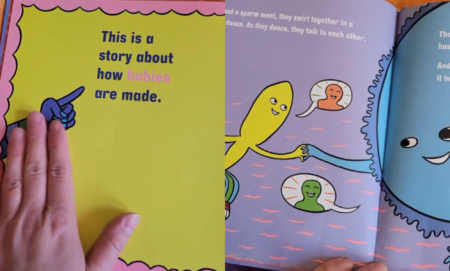 The book discusses where babies come from in an age-appropriate, gender-neutral way. (TikTok/@markusbones/What Makes A Baby)