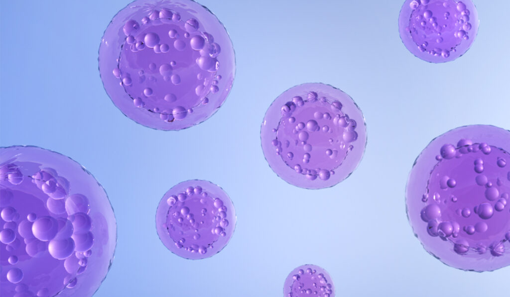 Pour les lesbiennes et les personnes queer, l’accès à la FIV ne se limite pas à la fertilité Pour les lesbiennes et les personnes queer, l’accès à la FIV ne se limite pas à la fertilité