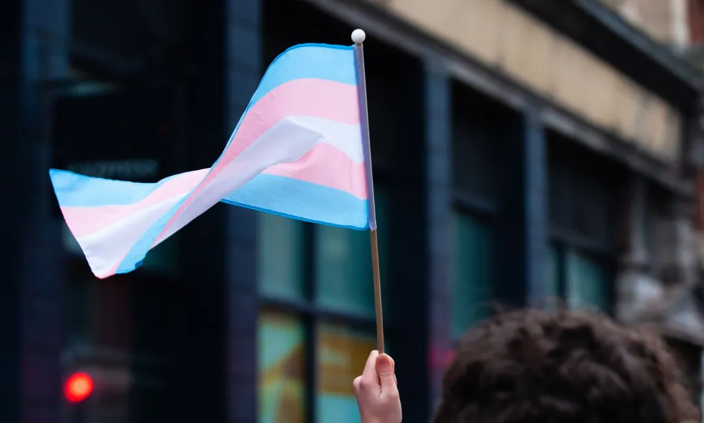 Image d'un drapeau trans agitant dans le vent