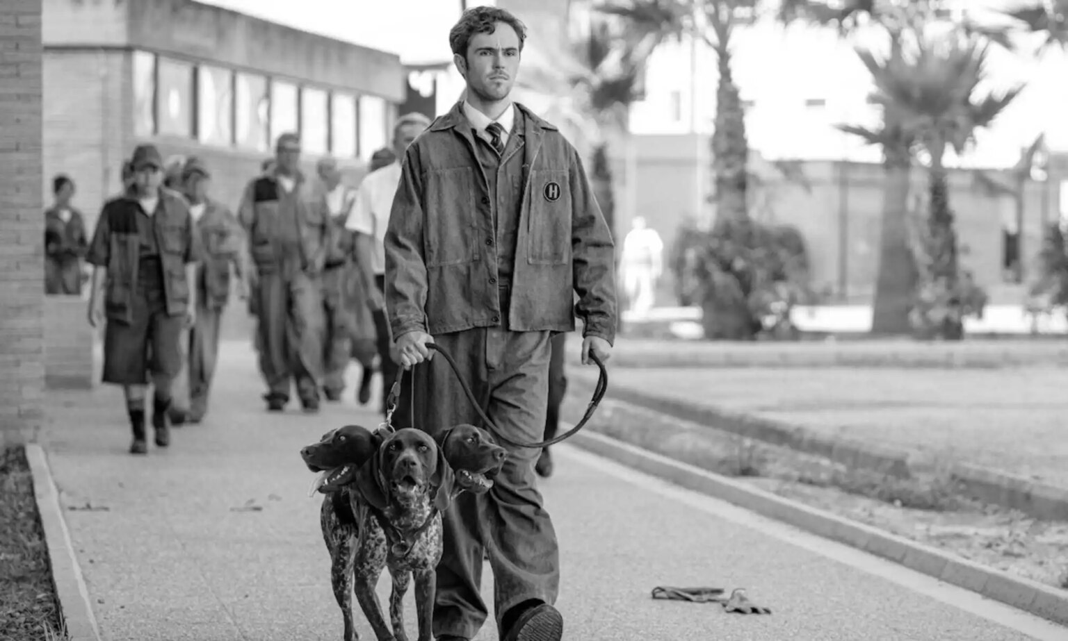 Kaos, la série Netflix, présente une histoire d'amour trans-masculine « vraiment spéciale » Misia Butler Kaos