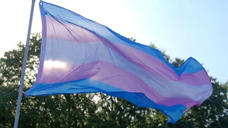 Stock image of a trans flag against a sunny background