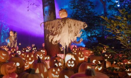 This is a photo from the pumpkin garden at Descanso Gardens
