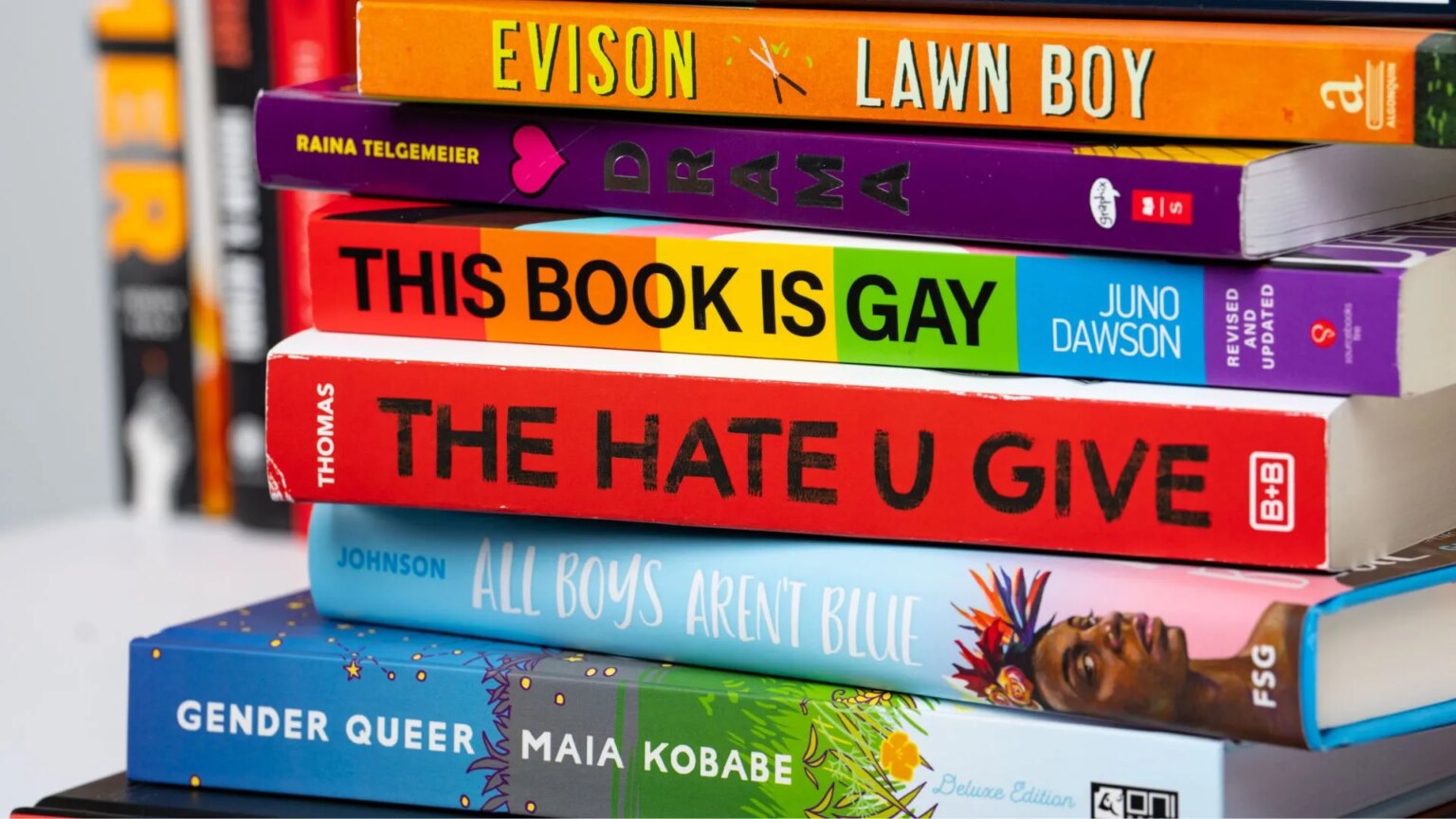 La classification des livres LGBTQ+ va être revue après la plainte d'un militant de droite Stack of frequently-banned books in the US including Gender Queer by Maia Kobabe